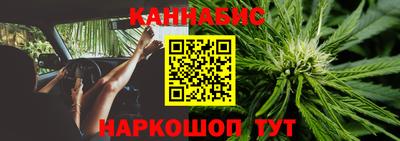шишки Пенза