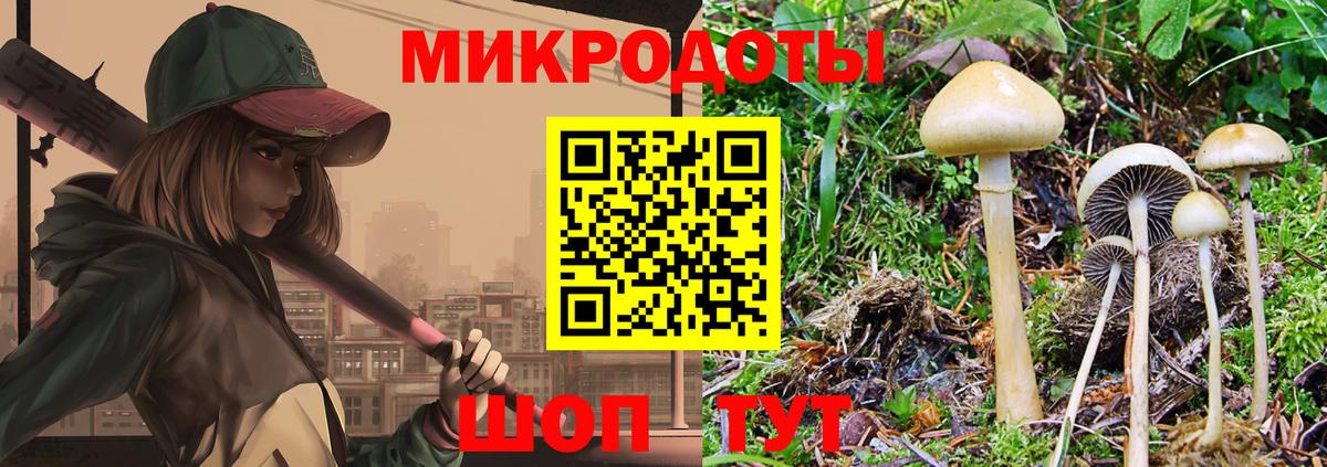 Псилоцибиновые грибы Cubensis  Вход с VPN  Новороссийск 