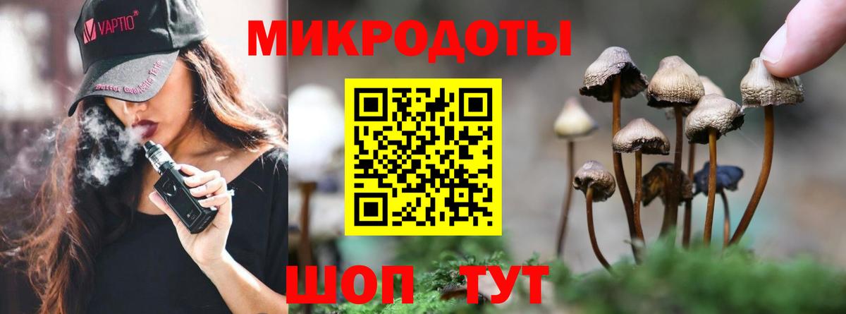 Галлюциногенные грибы GOLDEN TEACHER Новороссийск